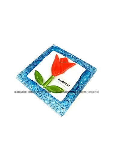 Bodrum Çiçek Nazar Nazarlık Banyo Balkon Tuvalet Gider Kapağı Çok Renkli