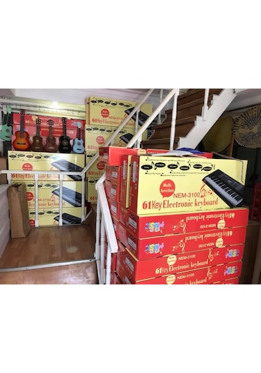 Nemesis Nem-3100 Model 61 Kapalı Tuş Hassasiyetli Dijital Org