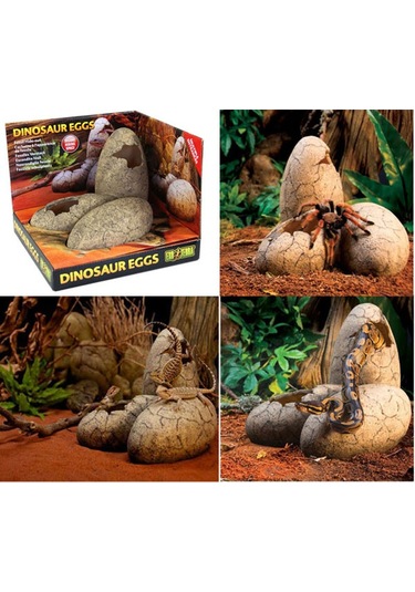 Exo Terra Dinozor Yumurtası Şekilli Yuva