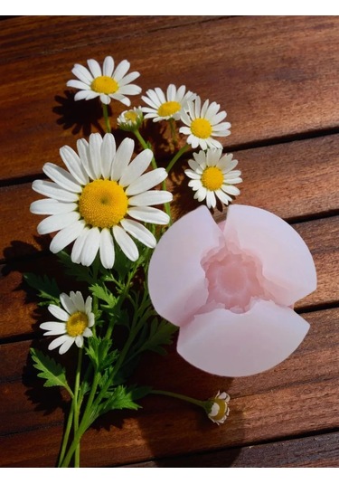 Koroleva Formy Yiyecekler İçin Silikon Kalıp Papatya Büyük 305266770 Diğer