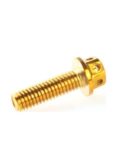 Willowhaven M6x25mm 10adet Altın Titanyum Kaplama Paslanmaz Çelik Motor Cıvataları