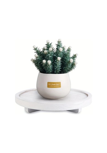 Willowhaven Beyaz Doğal Rubberwood Yuvarlak Dekoratif Tepsi - Çiftlik Evi, Modern Beyaz