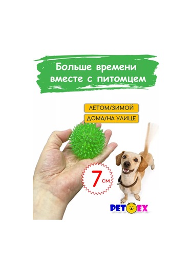 Pet-ex Dikenli Köpek Topu 7 Cm 193092539