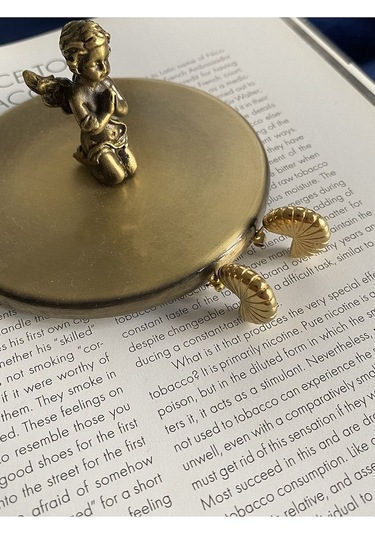 Deniz Kabuğu Halka Çelik Kararmaz Gold Kaplama Küpe Çifti Altın