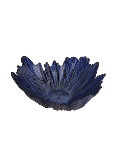 Porland Coralline Kase 31cm Çok Renkli