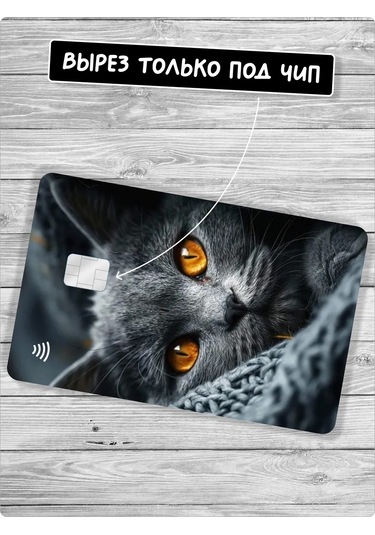 Stadi Kedi Kartı İçin Bant Kedi Şalı Şeklinde Yapışkanlı Etiket Veya Kedi Baskılı Yapışkanlı Kart Kılıfı 388856396