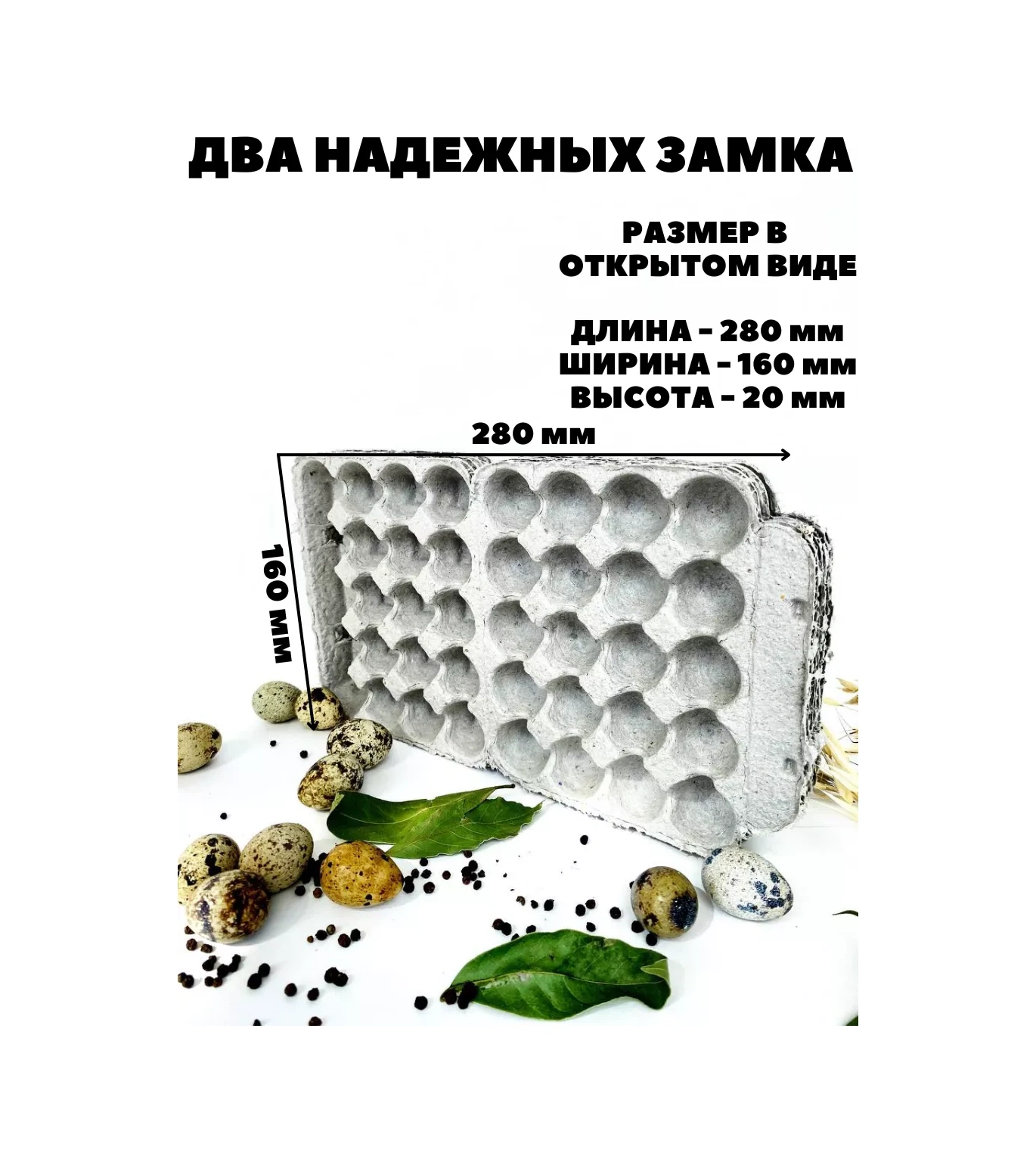 Tpt 20 Gözlü Bıldırcın Yumurtası Paketi 173910803 Bej