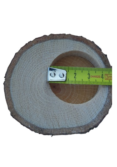 50 Adet - Ahşap Kütük Mumluk Meşe