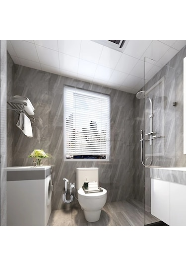 Willowhaven Duvara Monte Abs Tabanca Seti, Çift Çıkışlı Paslanmaz Vana, Bide Ve Balkon Yıkama Gümüşi