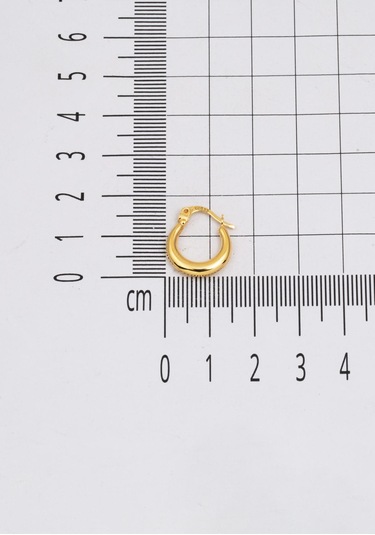 Bilezikci Hilal Halka Altın Küpe Sarı Altın