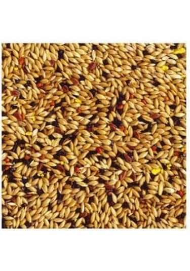 Tropifit Kanarya Kuşu Yemi 700 Gram