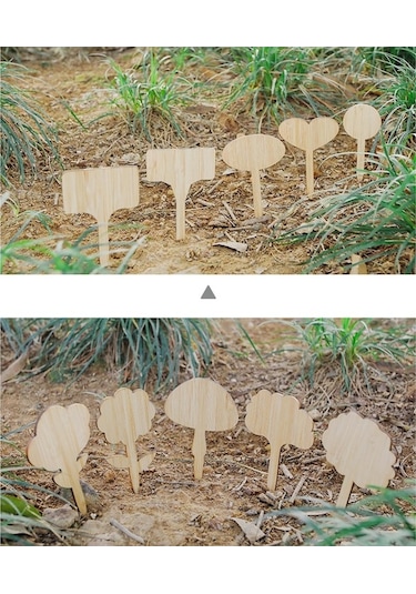 Trendooze Homyl 50 Adet T-şekilli Bitki Etiketi, Saksı Ekici