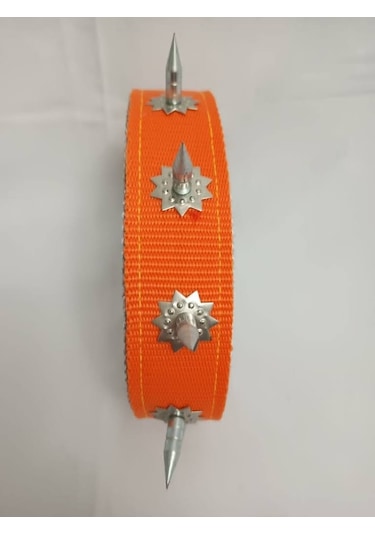 Kozaklı 10458 Çivili Süslü Köpek Tasması Turuncu 70 x 4 CM Turuncu