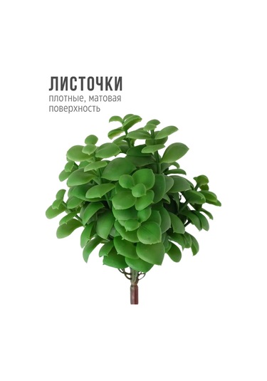 Wisty Dekor İçin 18,5 Cm Yapay Sukulent - Kırkayak Bitki 147202001 Yeşil