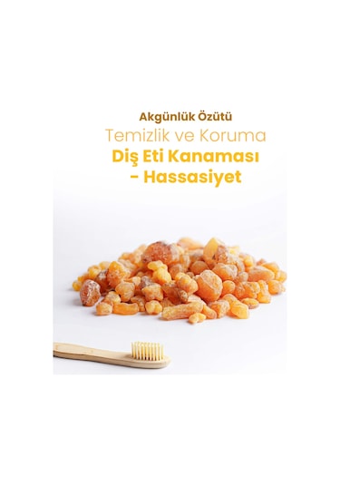 Probident Akgünlük Özütü İlaveli Probiyotik Diş Macunu 75 ML