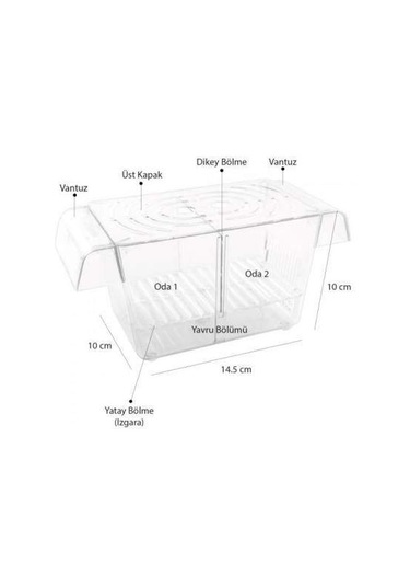 Atlantik Kristal İkili Balık Yavruluğu 14 5 Cm x 10 Cm