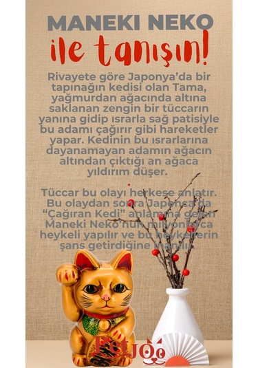 Petjoo 4.Maneki Neko Kırmızı-Gri Qr'lı Kedi Künyesi