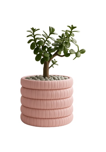 Soft Bloom Saksı Minimal Şıklık