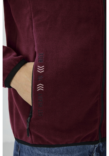 Tommy Life Erguvan Yazı Nakışlı Dik Yaka Fermuarlı Standart Kalıp Erkek Sweatshirt Polar - 87992 Mor