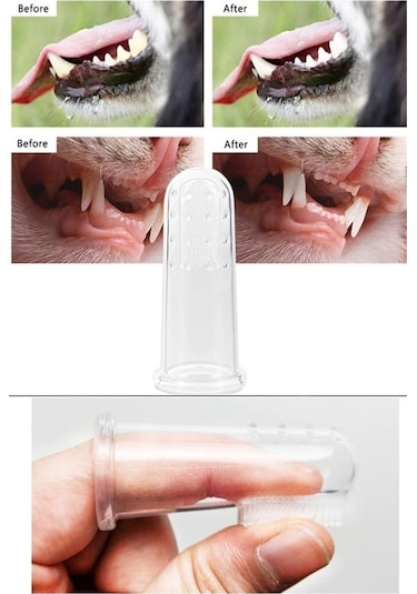 Kedi Köpek Parmak Diş Fırçası Kutulu Evcil Hayvan Diş Fırçası