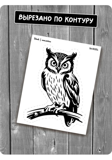 Stadi İç Mekan İçin Dekoratif Çıkartma Buçuk 223576726 Siyah