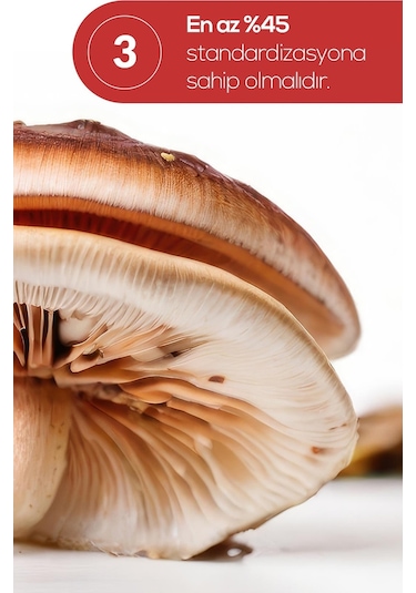 Erbatab Reishi Mantarı Ekstresi 60 Kapsül