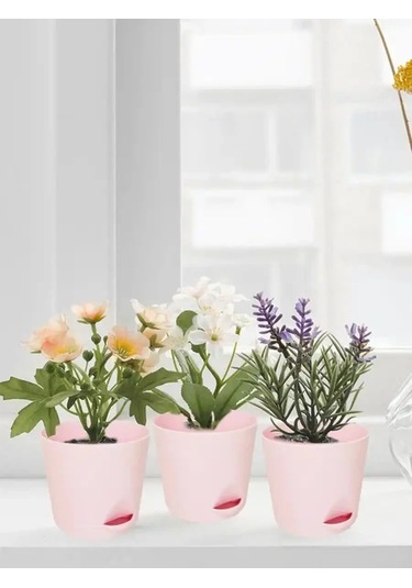 Interm Kaktüsler, Menekşeler Ve Sukulentler İçin Saksı, Otomatik Sulama Sistemi 133195521