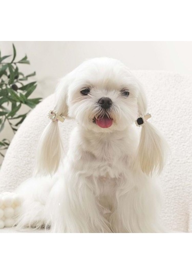 M-pets Glam Taşlı İncili Kedi Ve Köpekler İçin Aksesuar Toka Siyah Gri Pembe