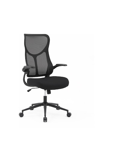 Techno Rest X Ergonomik File Sırtlı Ofis Çalışma Koltuğu Siyah Siyah