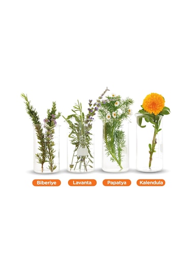 Bio-Oil Çatlak Karşıtı & Leke Karşıtı Nemlendirici Cilt Bakım Yağı 125  ML - 2 Adet Set