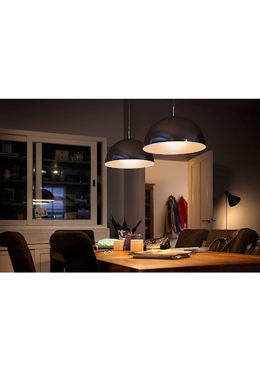 Philips Led Classic120w G120 E27 Sarı Işık Glob Ww Dim Edilmez Am Çok Renkli