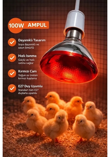 100w Isıtıcı Ampul Kırmızı Isı Lambası Civciv Kümes Kuluçka E27 Duy Isıtma Ampulü 1