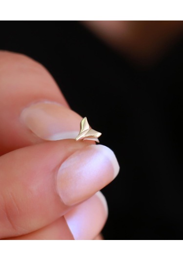 14 Ayar Altın Deniz Yıldızı Kuyruk Tragus Piercing Sarı Altın