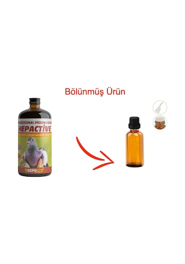 Hepactive Böbrek Karaciğer Koruyucu 100 Ml Bölünmüş