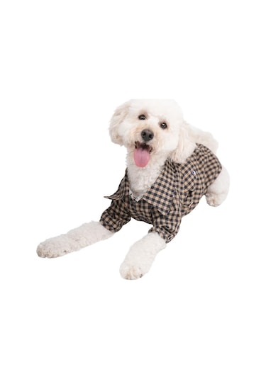 Pawstar Brown Gingham Shirt Kahverengi Pötikare Kedi Köpek Gömleği