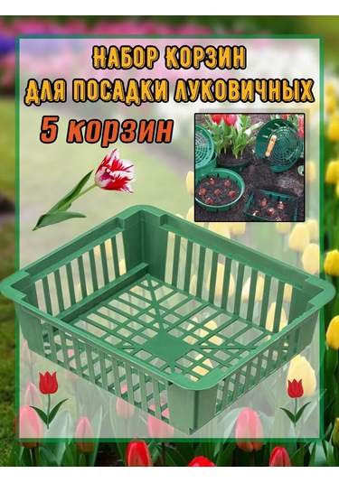 Domdacaogorod Soğanlı Bitkiler Ve Kelebek Yetiştirme Sepeti 263098581