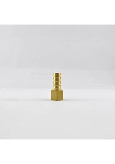 Brio Hava Hortum Dişi Rekoru 1/4 10mm 3'lü Paket