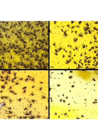 Zyzqstore 100 Adet Güçlü Meyve Sineği Tuzağı, Böcek Sarı Yapışkanlı Farklı Renklerde, 30-100 Adet