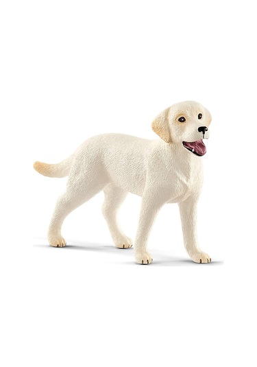 Schleich Köpek Eğitim Seti 42536
