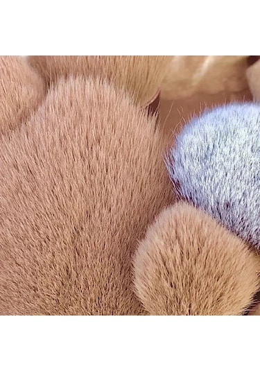 14 Pcs Makyaj Fırça Seti Göz Farı Vakfı Kadın Kozmetik Fırça Göz Farı Allık Gü D102 10pc Yellow Dark Topaz