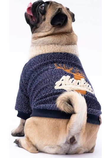 Pawstar Lacivert Alaska Esnek, Küçük Irk Köpek Trikosu