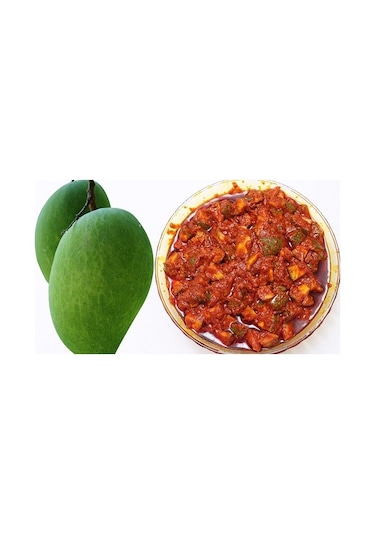 Yelpaze National Yağlı Karışık Mango Turşusu Achar 400 G