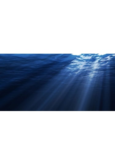 Kanki Pet KP1055207 Akvaryum Arka Fon Yapıştırma 105 CM