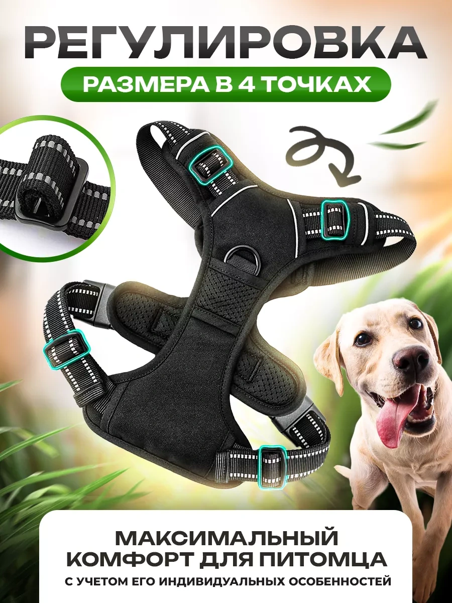 Petfort Orta Ve Büyük Irk Köpekler İçin Anatomik Koşu Kayışı 175383449 Siyah