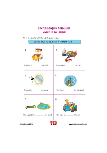 Çocuklar İçin İngilizce Eğitim Seti 3 Kitap + 15 Saat Anlatım
