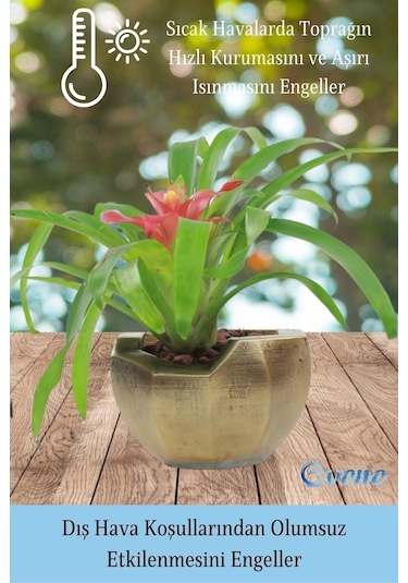 Saksı Çiçek Kaktüs Saksısı Lüx 15 Cm Önü Açık Desenli 3'lü Set Çiçeklik - Altın Eskitme