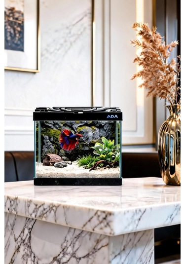 Betta Balığı Akvaryumu Siyah 23x12x21 Cm 4 Litre Arka Plan Hediyeli