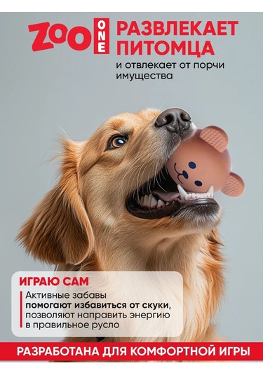 Zooone Cıvıltılı Top Köpek Oyuncağı 184367162