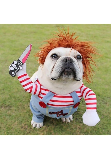 Küçük Köpekler İçin Cadılar Bayramı Kostümü - Özel Günler İçin Şe