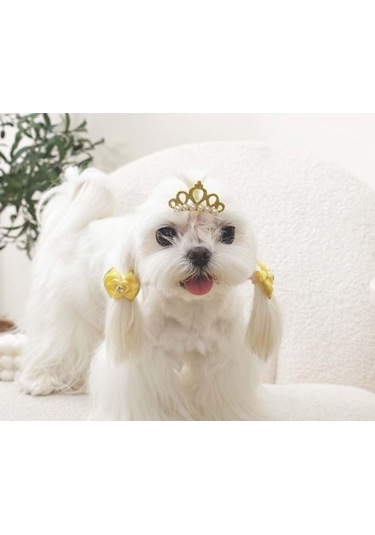 M-pets Glam Taç Ve Fiyonklu Kedi Ve Köpekler İçin Aksesuar Toka Sarı Mavi